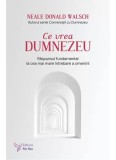 Ce vrea Dumnezeu - Neale Donald Walsch - Editura ForYou