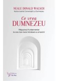 Cumpara ieftin Ce vrea Dumnezeu