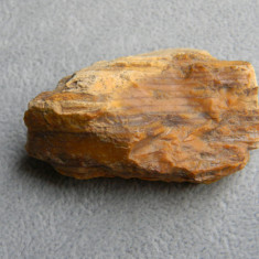 Specimen minerale - lemn fosilizat (CC1)