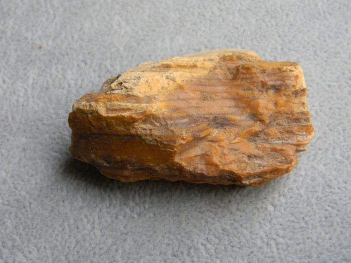 Specimen minerale - lemn fosilizat (CC1)