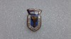 Insigna Sc. Sp. Timisoara