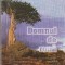 Domnul de roua