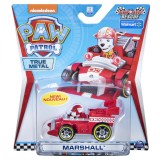 PATRULA CATELUSILOR MASINUTA METALICA DE CURSE MARSHALL SuperHeroes ToysZone
