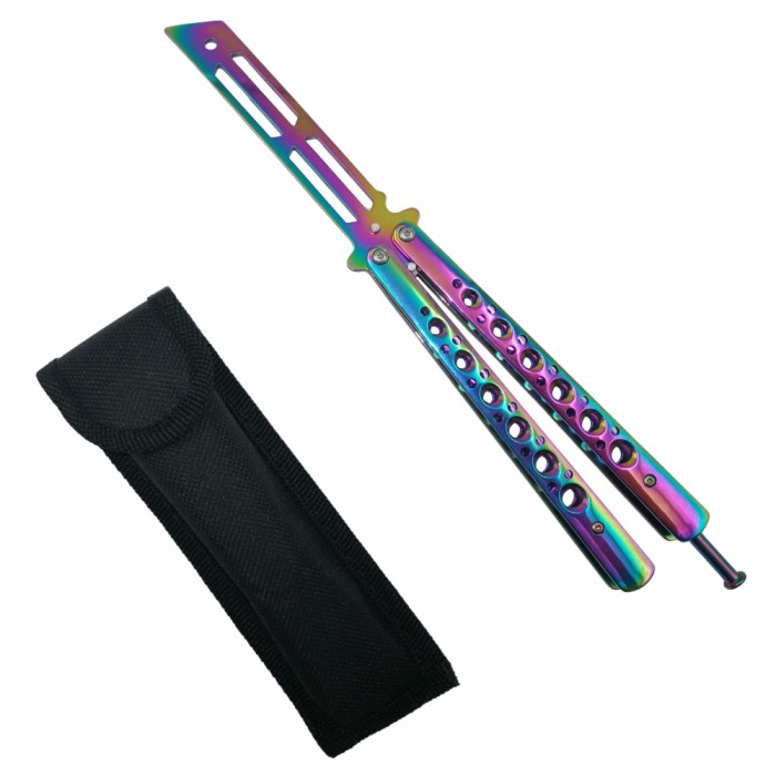 Briceag de antrenament IdeallStore&reg;, model fluture, Rainbow Stylish, 23.5 cm, multicolor, husa inclusa