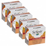 Cumpara ieftin Schesir dog Adult - filet de pui cu papaya 5 x 150 g