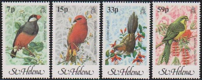 ST. HELENE - 1983 - PAPAGALI