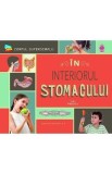 In interiorul stomacului - Karin Halvorson