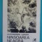 Alexandru Lungu &ndash; Ninsoarea neagra ( prima editie )