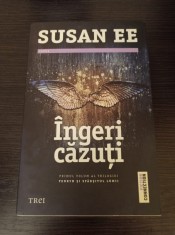 Susan Ee - Ingeri cazuti foto