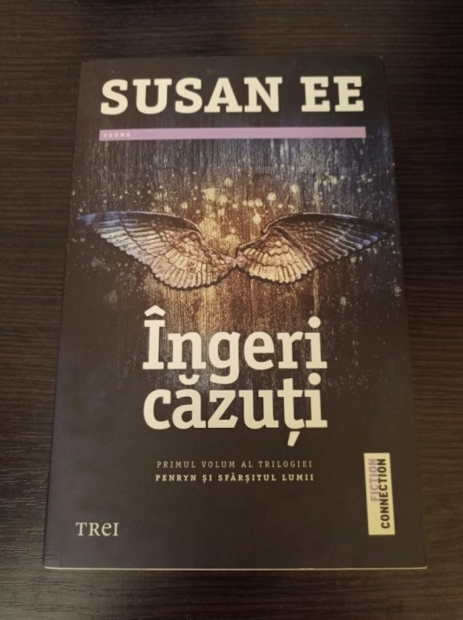 Susan Ee - Ingeri cazuti