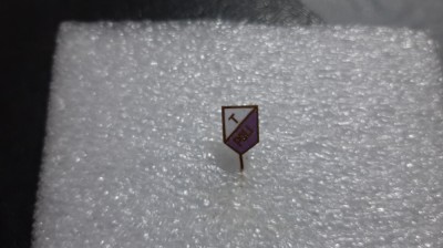 Insigna Poli Timisoara foto