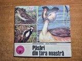 carte pentru copii - pasari din tara noastra - din anul 1978