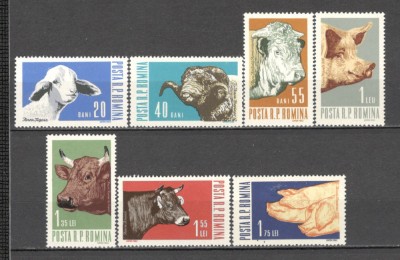 Romania.1962 Animale de casa XR.450 foto
