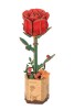 Red Rose