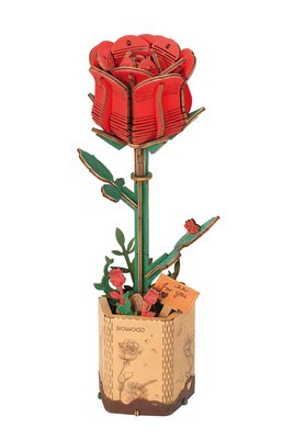 Red Rose foto