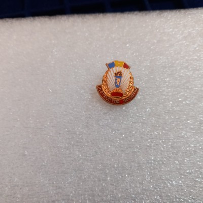 Insigna Instructor Sportiv foto