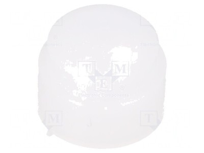 Lentilă Fresnel Albă pentru Detecție 30&amp;deg;x20&amp;deg; -25&amp;divide;60&amp;deg;C foto