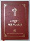 MINEIUL PE FEBRUARIE , 2014