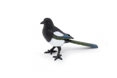 PAPO FIGURINA COTOFANA foto