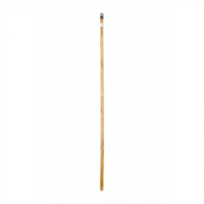 Coada Lemn Lacuit, 120 cm, Natur, Coada Mop din Lemn Lacuit, Coada de Lemn pentru Matura, Coada din Lemn pentru Mop, Cozi de Lemn pentru Matura, Cozi