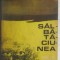 Dragos Nisioiu - Salbataciunea, povestiri