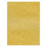 Coperta indosariere A4 CNX, carton imitatie piele, ocru, 230g/mp, top 100 coli