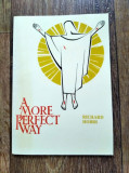 DD- A More Perfect Way Paperback &ndash; by Richard Hobbs (Author), 1988