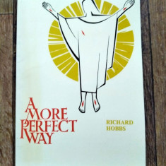 DD- A More Perfect Way Paperback – by Richard Hobbs (Author), 1988