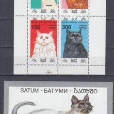 URSS GEORGIA BATUMI CINDERELA RASE DE PISICI BLOC DANTELAT+BLOC NEDANTELAT MNH