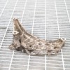 Suport motor dreapta VW TRANSPORTER V T5 Furgon 2011 OEM: 03L199207B | 3031791