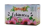 ECHINACEA 20DZ, Adserv