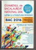 Examenul de bacalaureat national 2016. limba si literatura romana romonti