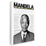 Tablou Mandela lider politic Tablou canvas pe panza CU RAMA 60x80 cm