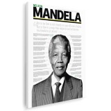 Tablou Mandela lider politic Tablou canvas pe panza CU RAMA 30x40 cm