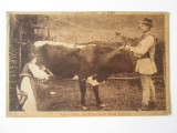 Carte poștală port național rom&acirc;n:Viața la țară,cu ștampile evreiești rare 1915, Necirculata, Printata