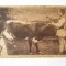 Carte poștală port național rom&acirc;n:Viața la țară,cu ștampile evreiești rare 1915