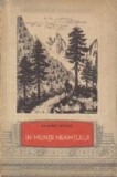 In Muntii Neamtului