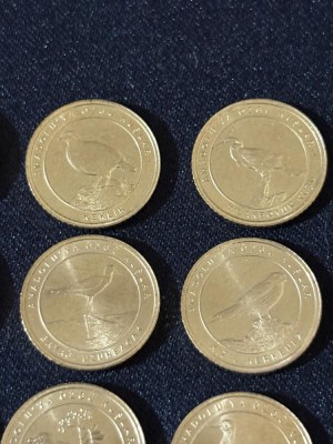 Turcia 2021 &amp;ndash; Set complet de 12 monede de 1 Kurush , Fauna - Păsări foto
