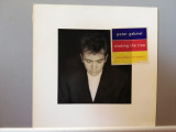Peter Gabriel &ndash; 12 Golden Greats (1990/Virgin/Holland) - Vinil/Vinyl/NM