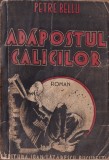 Petre Bellu - Adapostul calicilor (Editie princeps)