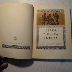 LOT de 2 carti G. Andreescu-Iliada, Odiseea, Eneida si Povestiri vesele-J. Hasek