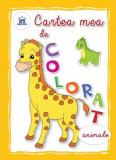 Cartea mea de colorat Animale - Paperback - *** - Didactica Publishing House