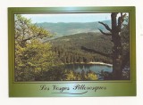 FR1 -Carte Postala - FRANTA, Le Lac Vert ou Lac de Soultzeren, necirculata, Fotografie