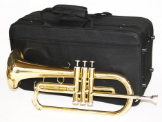 Fligorn Bb Cherrystone auriu flugelhorn foto