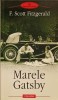 Marele Gatsby - F. Scott Fitzgerald, Editura Polirom, 2007, Roman, Beletristica, 256 Pagini