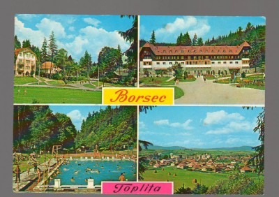 CPIB 17222 CARTE POSTALA - BORSEC, MOZAIC, TOPLITA, MOZAIC foto