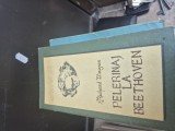 Pelerinaj la Beethoven vintage
