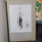 Fr. Șirato, album, text de Tudor Arghezi, ediția I-a. București 1944, 096