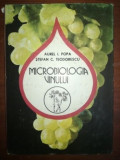 Microbiologia vinului- Aurel I. Popa, Stefan C. Teodorescu
