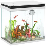 PawHut Acvariu de Sticlă pentru Pești cu Iluminare LED, Filtru și Pompă de Apă, 38x26x38 cm, Alb | Aosom Romania